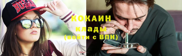 бошки Бронницы