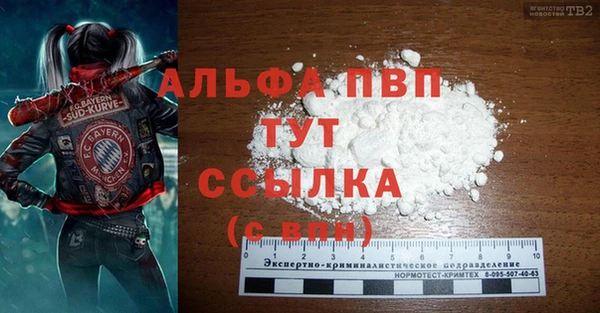 spice Верея