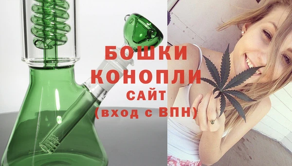 бошки Бронницы